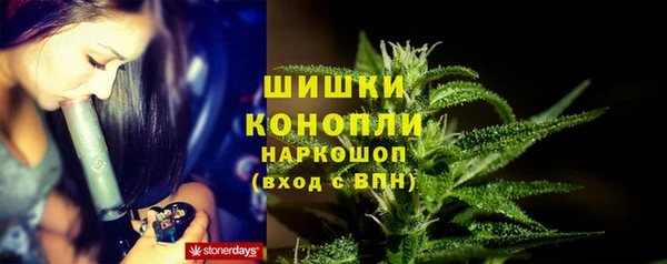 соль ск Горнозаводск