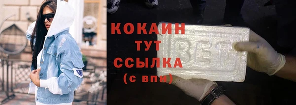 ГАЛЛЮЦИНОГЕННЫЕ ГРИБЫ Горно-Алтайск