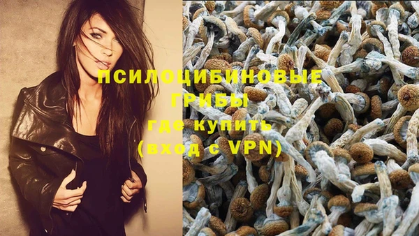 МДПВ Горняк